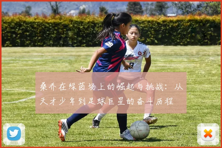桑乔在绿茵场上的崛起与挑战：从天才少年到足球巨星的奋斗历程